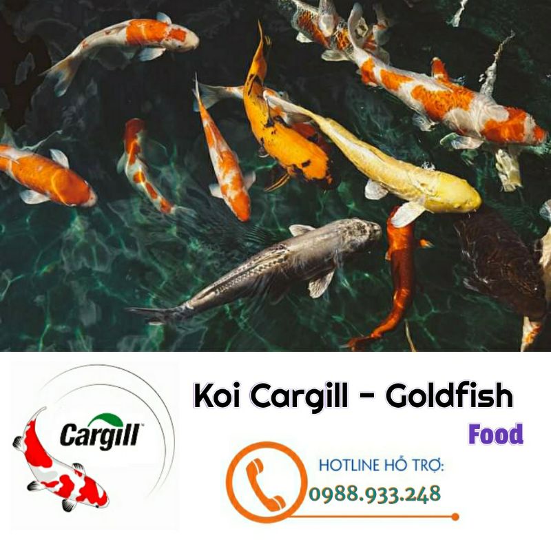 [ Giá Sỉ] 1 bao cám 5kg Cargill 7924S dành cá Chép, cá Koi
