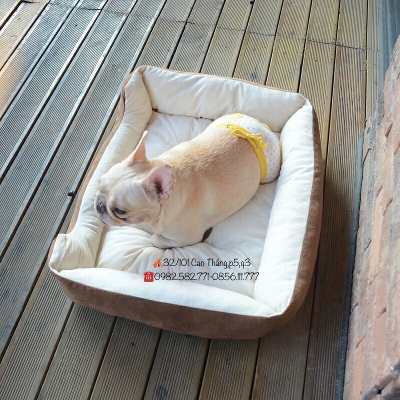 nệm ngủ cho thú cưng hình chữ nhật giá rẻ