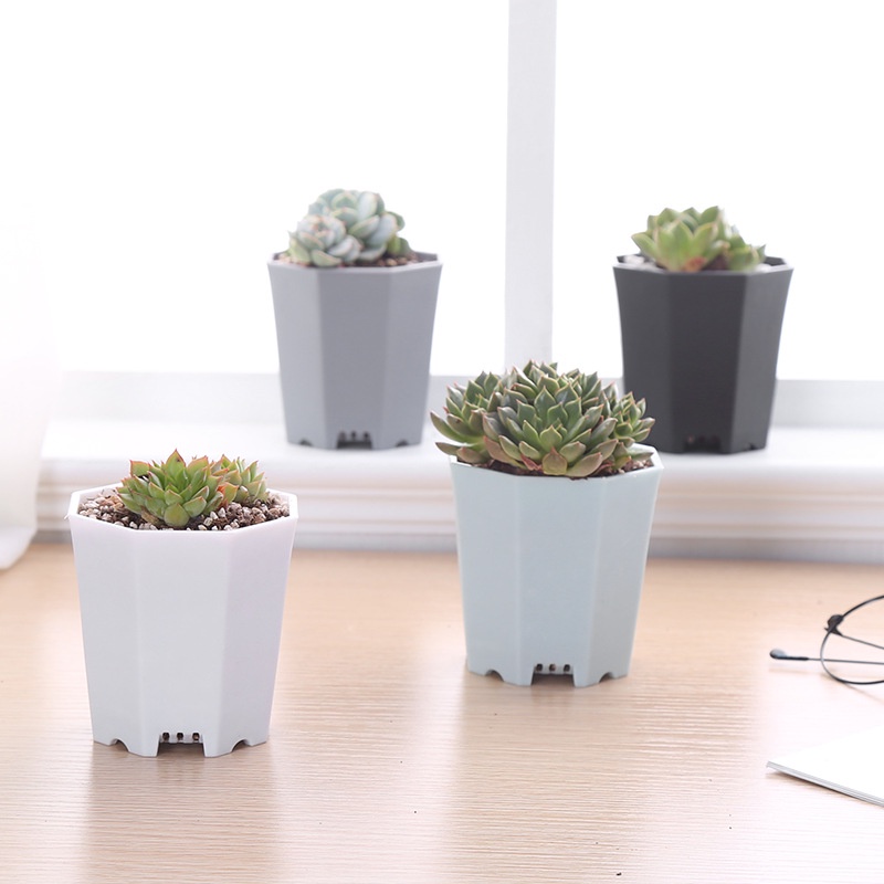 Chậu Nhựa Dày Hình Bát Giác Trồng Hoa / Cây Mọng Nước Để Bàn