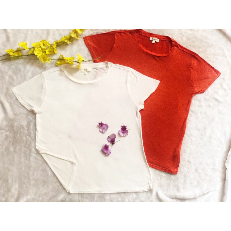 Áo thun giấy siêu mát