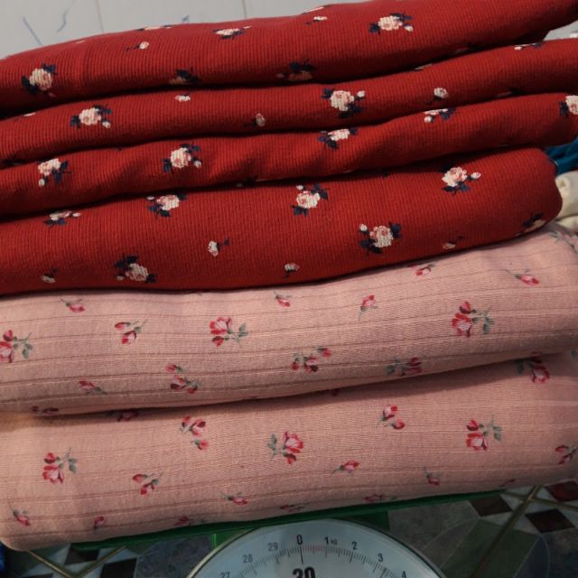 Sét vải bo gân cotton