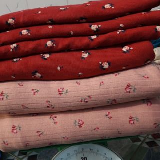 Sét vải bo gân cotton