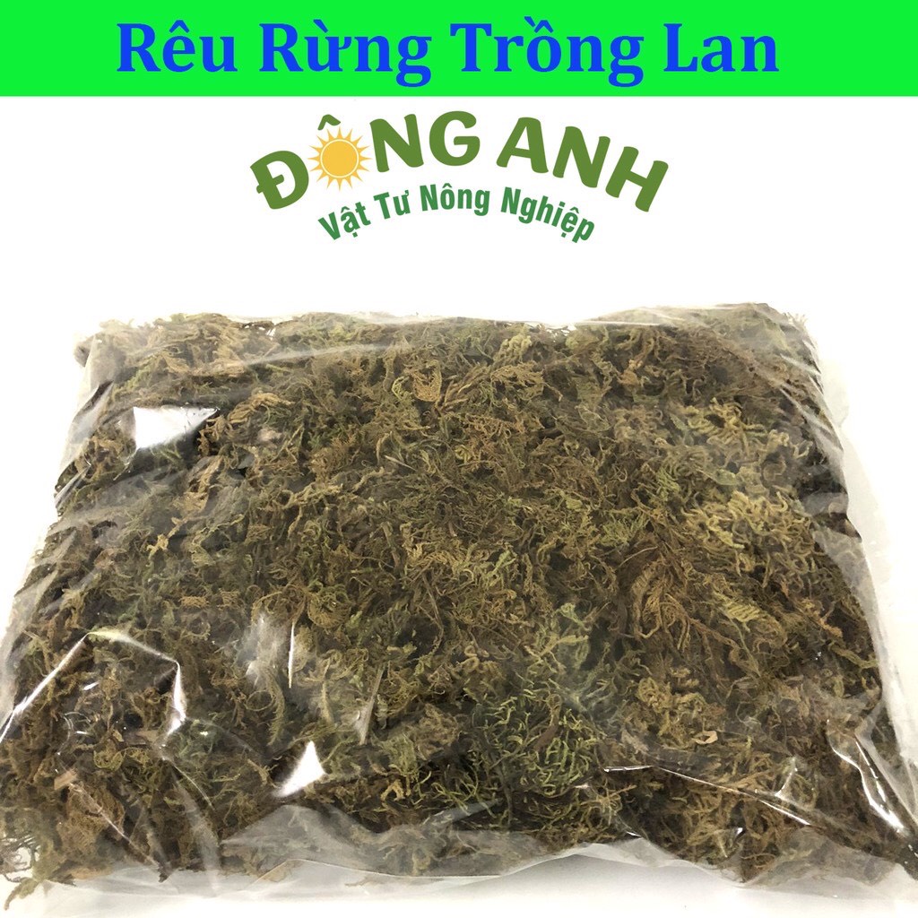 Rêu rừng trồng lan đã qua xử lý khô đóng gói 100g