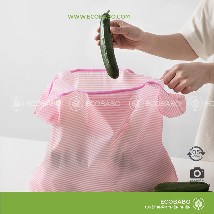 Túi đi chợ gấp gọn chống nước | Ecobabo