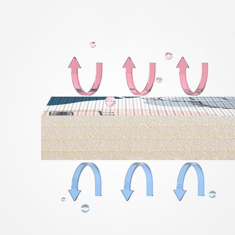 Thảm cuộn Umoo cao cấp hàng chính hãng