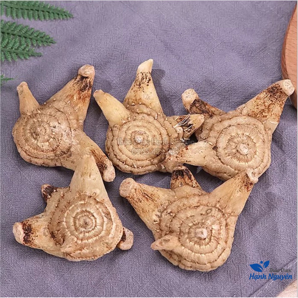 Bạch cập khô cao cấp (Bổ phế, mau lành vết thương) - Thảo Dược Hạnh Nguyên