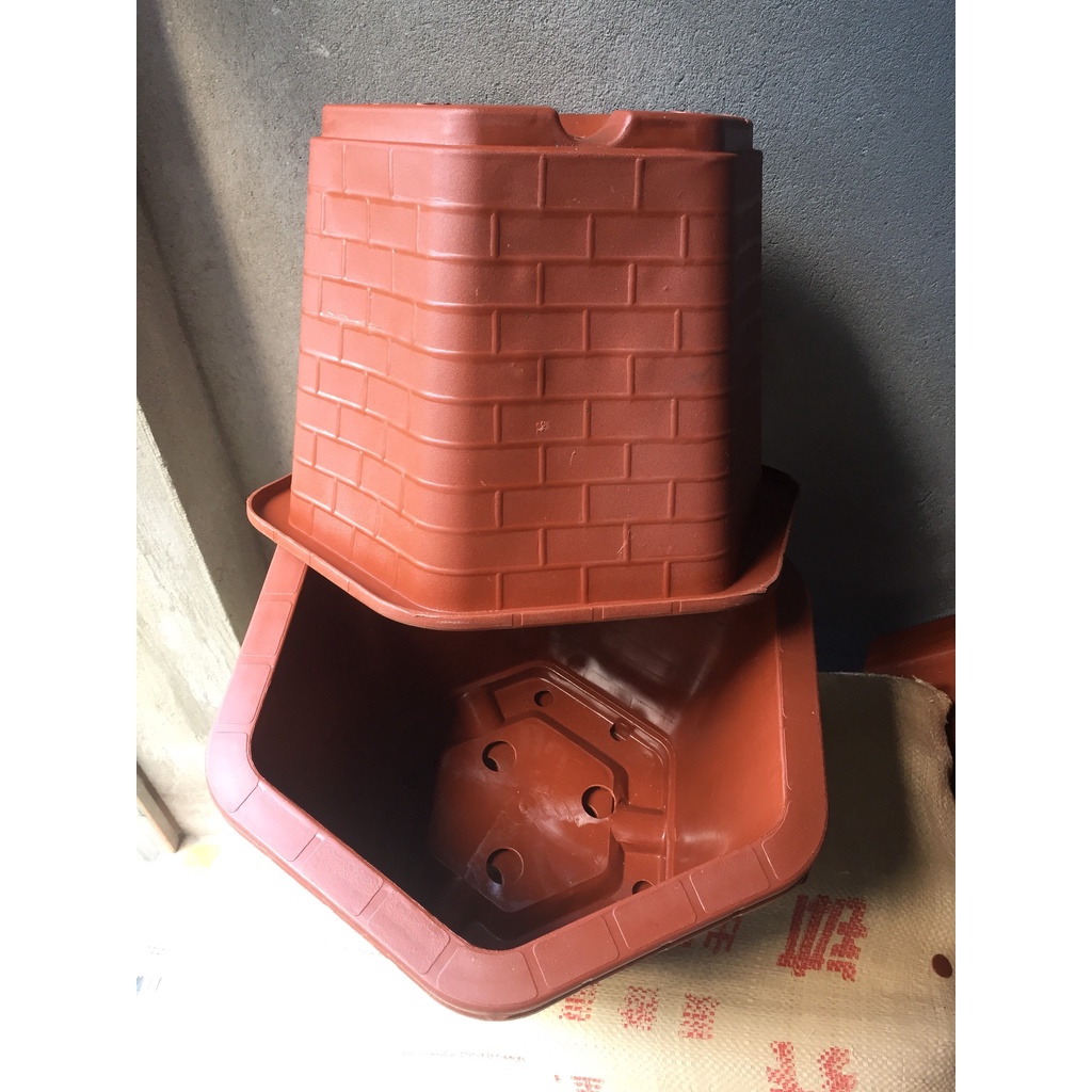 10 CHẬU NHỰA LỤC GIÁC MÃ #450 (DỊCH TRUYỀN CỨU CÂY, KÍCH RỄ MẦM CÂY, BẦU KHAY TÚI ƯƠM..)