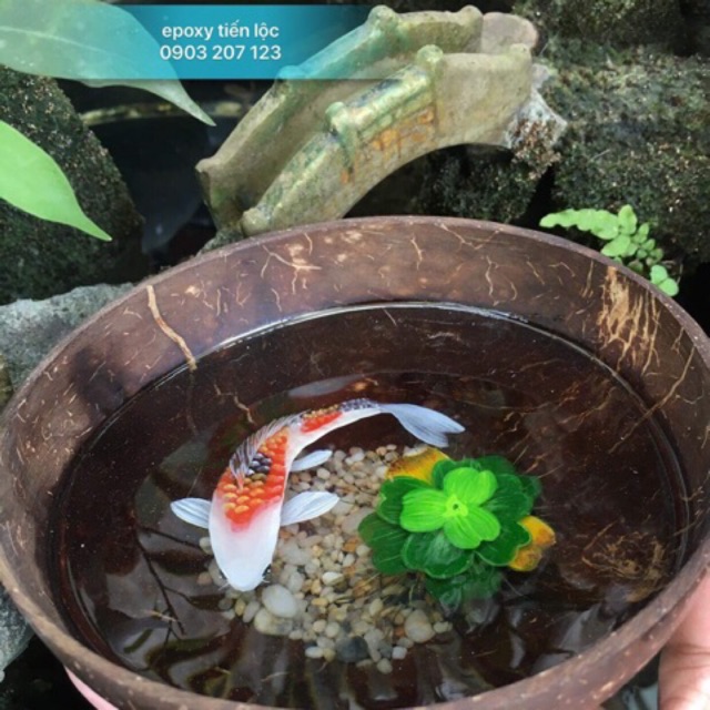 Bộ 500g Resin Vẽ Cá