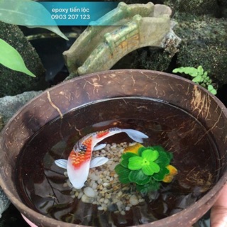 Bộ 500g Resin Vẽ Cá