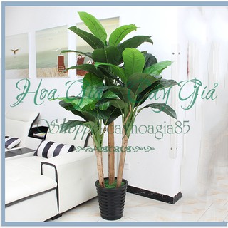 Cây Giả - Bụi Cây Chuối Cảnh 3 Cây