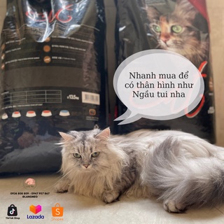Cat Eye hạt thức ăn khô cho mèo
