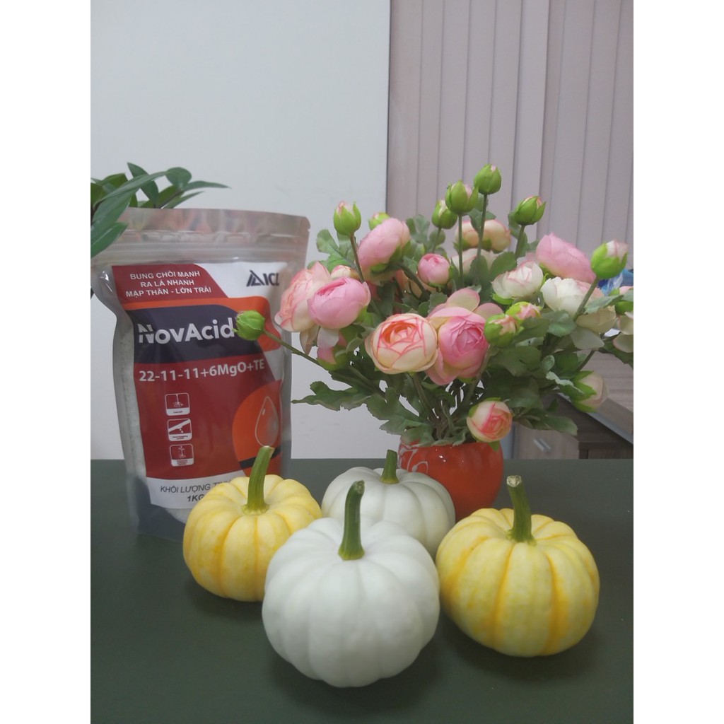 Phân bón Rau Hoa NPK 22-11-11+6MgO+TE -Israel