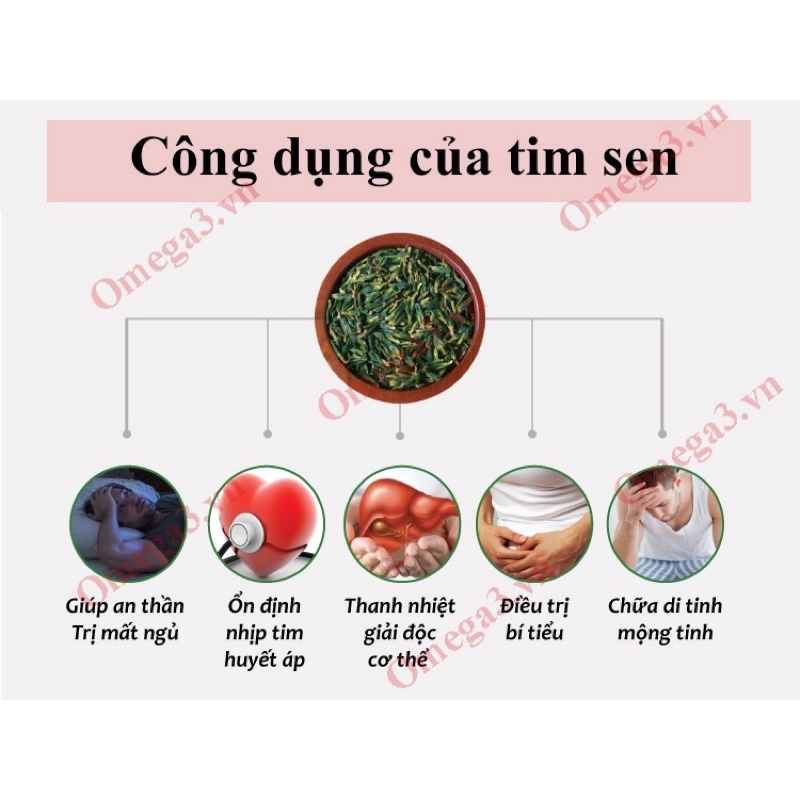 Giá Huỷ Diệt [ Trà Tâm Sen ( Hay Còn Gọi Là Tim Sen Món Quà Cho Người Mất Ngủ )