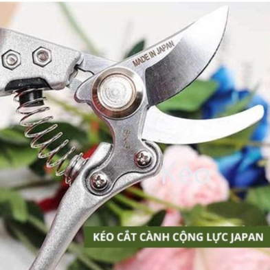 Kéo cắt cành cây cảnh, bonsai công nghệ nhật bản siêu bền