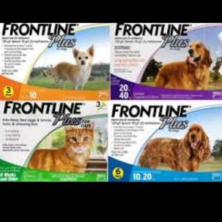 Trị ve rận - nhỏ gáy trị ve rận frontilne cho chó mèo dưới 20kg