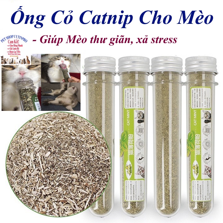 Ống cỏ Cat Mint cho Mèo Ống 10g Giúp thú cưng thư giãn, Xả stress, Bổ sung vitamin,Cân bằng dinh dưỡng, Tốt cho tiêu hóa