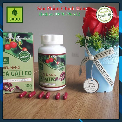 Cà Gai Leo Sadu Viên Nang - [CHÍNH HÃNG] - Cách tốt nhất để bảo vệ gan | BigBuy360 - bigbuy360.vn