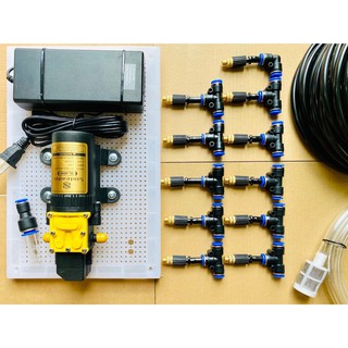 Bộ phun sương 11 béc đồng 1 hướng - tưới lan, cây cảnh