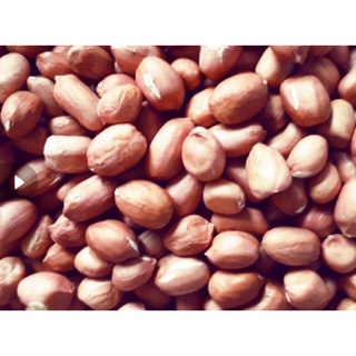 1kg đậu phộng sống ( hạt lạc )