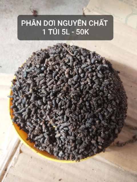 PHÂN DƠI NGUYÊN CHẤT