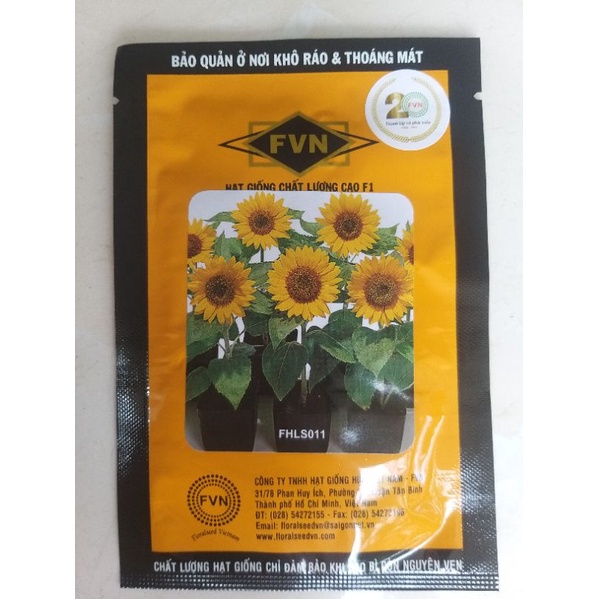 Hoa hướng dương lùn Helianthus FVN gói 50 hạt