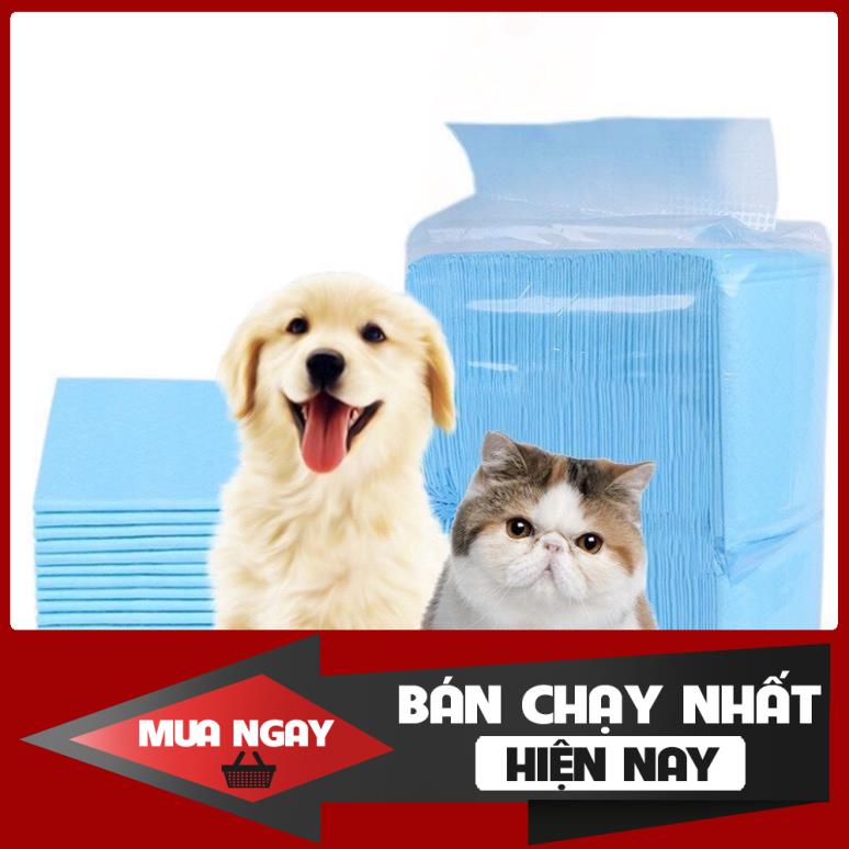 [ HOT ] Giấy tã lót vệ sinh cho thú cưng cao cấp