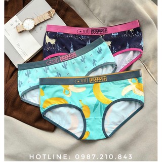 Quần lót đôi Cotton Wind siêu đẹp