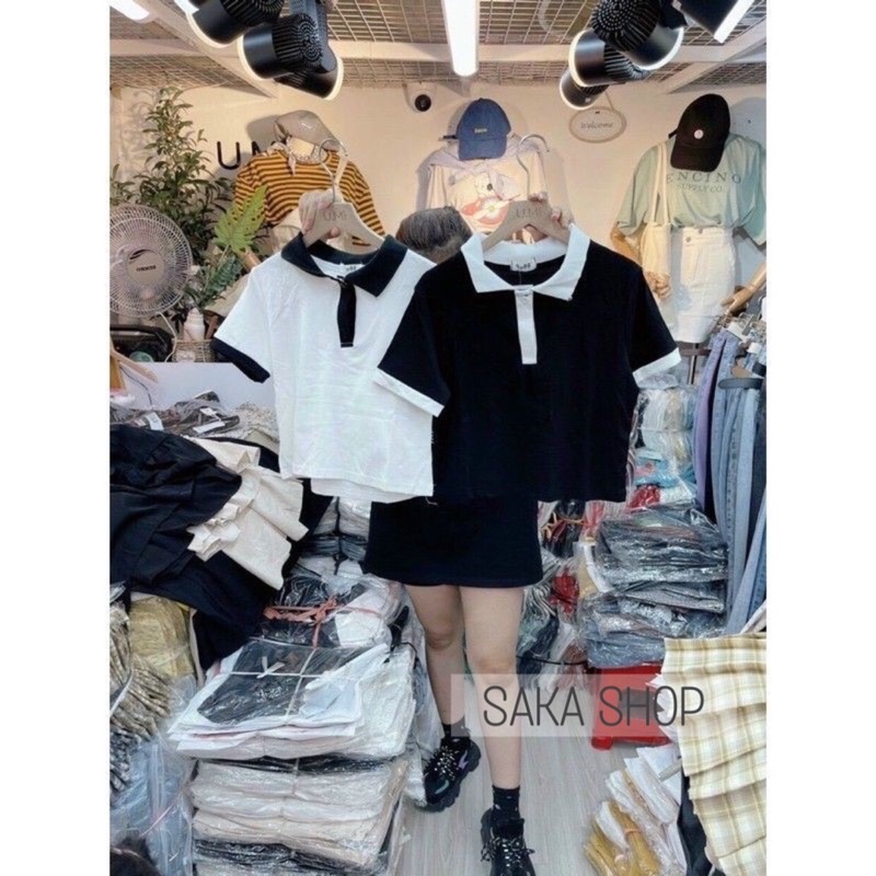 Áo thun nữ tay ngắn cổ sơ mi phối màu dễ thương