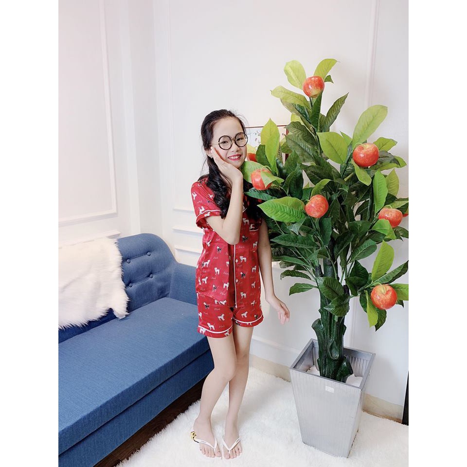 Size Đại 25-45kg : Bộ Pijama Đại Tơ Lụa Hot Hit Cho Bé Gái - BPD3