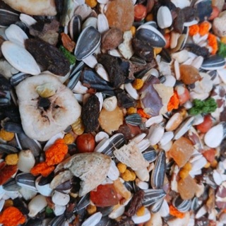 Hạt trộn Ý cao cấp cho vẹt gói 500g