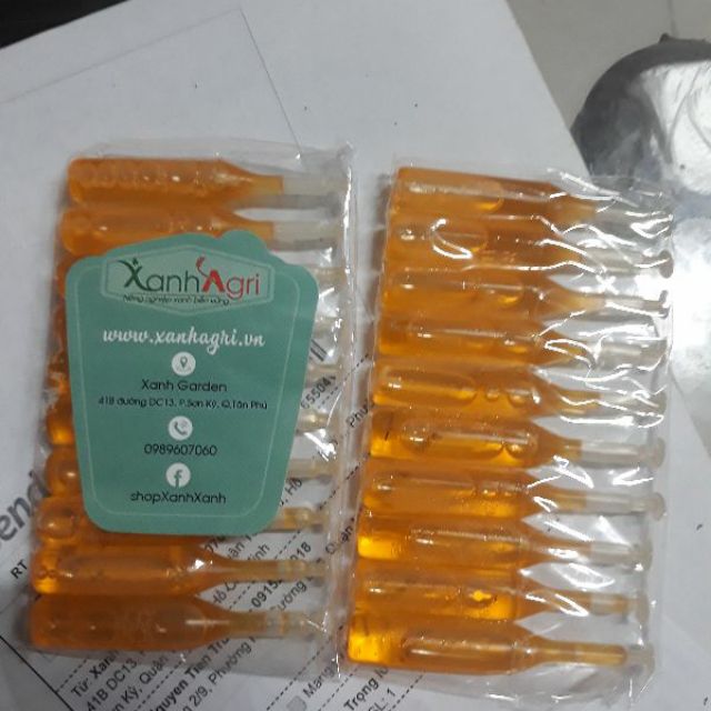 1 ống thuốc bẫy ruồi vàng (hàng sẵn - mua 11 free 1)