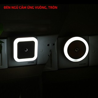 Đèn ngủ LED cảm biến ánh sáng tự động bật tắt vuông, tròn