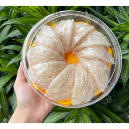 Hộp nhựa tròn đựng yến 30/50/100g