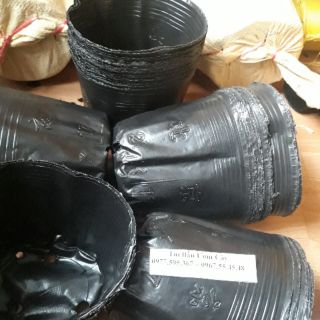Bầu ươm cây 21x7 1kg 100 bầu