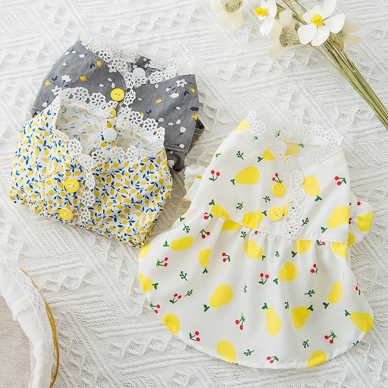 Váy xinh cho thú cưng