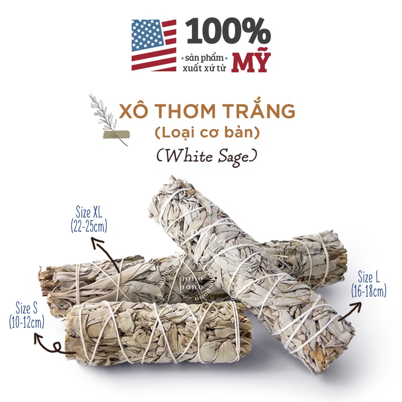 Xô Thơm Trắng  | Loại cơ bản | Dùng thanh tẩy năng lượng tiêu cực, bài tarot, đá phong thủy, không gian...
