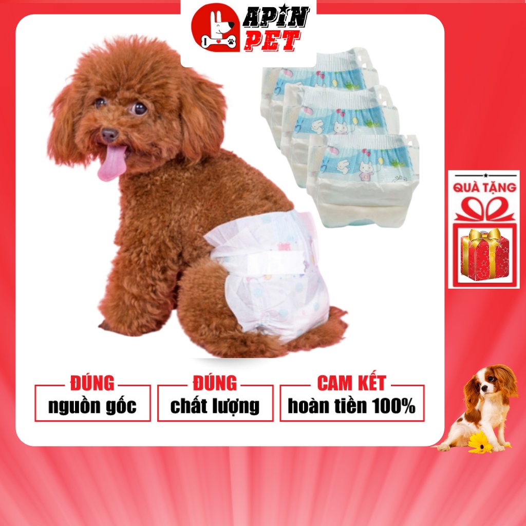 Bỉm Cho Chó Cái Thấm Hút Nhanh Thoáng Mát Size XS S M L XL