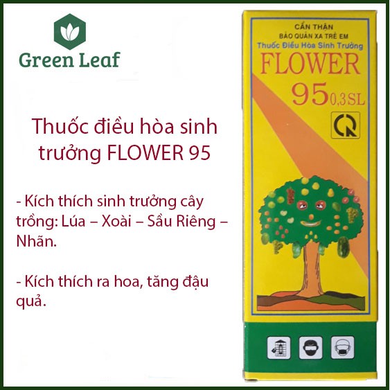 Thuốc điều hòa sinh trưởng FLOWER-95 tăng đậu quả và kích thích tăng trưởng