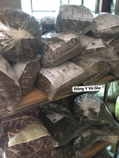 Chè dây rừng ( loại đep )