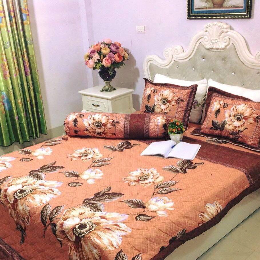 Bộ chăn ga gối cotton poly