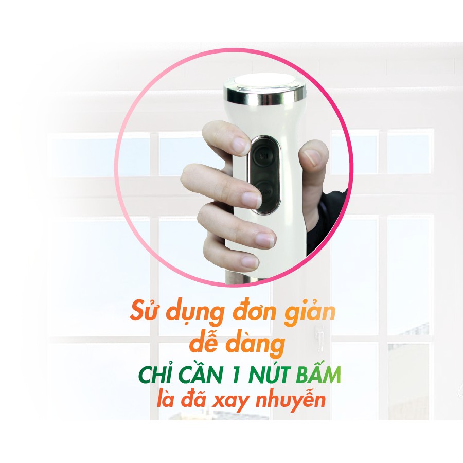 Thân máy xay cầm tay Rozabi Basic 500W