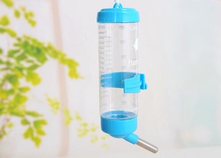Bình nước uống dành cho thú cưng
