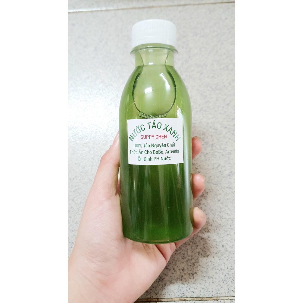 Nước Tảo Xanh - Thức Ăn Dinh Dưỡng Cho BoBo Artemia Cá Cảnh