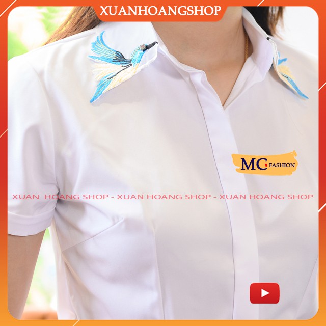 Áo Sơ Mi Nữ Trắng Mc Fashion, Kiểu Dáng Công Sở, Tay Ngắn Cộc A676, Cổ Đức Đẹp, Chất Vải Mát, Co Giãn Nhẹ, Giấu Cúc