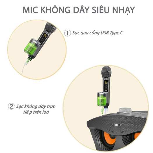 Loa Karaoke Bluetooth SDRD SD306 Plus Bản Mới Nhất - Kèm 2 Micro karaoke Không Dây/BH 6 tháng