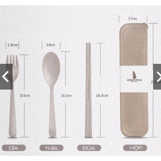 Bộ thìa đũa lúa mạch có hộp đựng