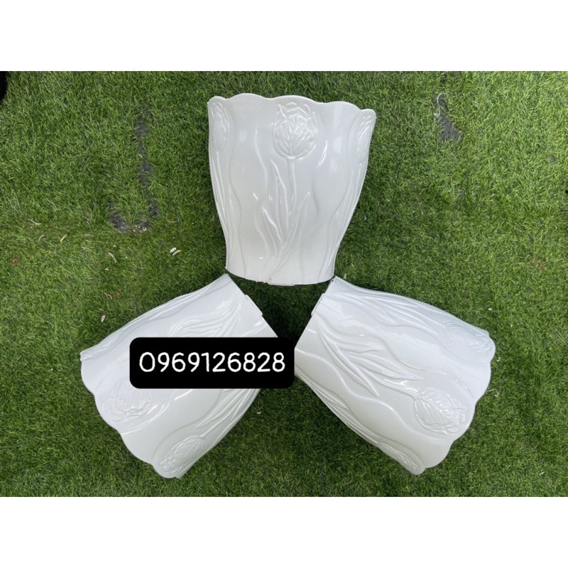 Chậu trồng cây hoa  tu kịp trồng cây, decor siêu đẹp