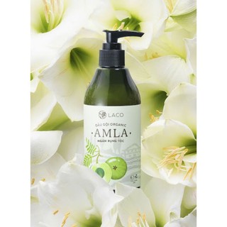 DẦU GỘI AMLA