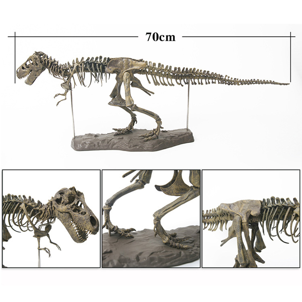 FOSSIL Mới Đồ trang trí Bộ Xương Khủng Long Tyrannosaurus Bằng Pvc Dùng Trang Trí Nhà Cửa