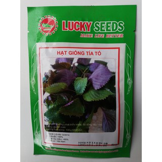 HẠT GIỐNG TÍA TÔ - 5 GRAM - LUCKY SEEDS